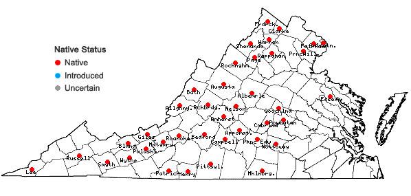 Locations ofViola hirsutula Brainerd in Virginia