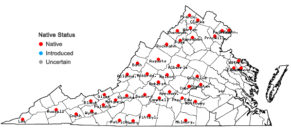 Locations ofViola hirsutula Brainerd in Virginia