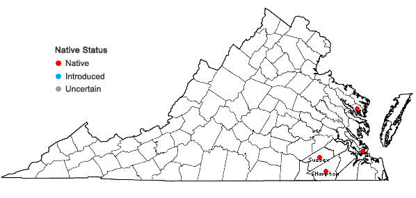 Locations ofViola imposter R.N. Burwell and H.E. Ballard in Virginia
