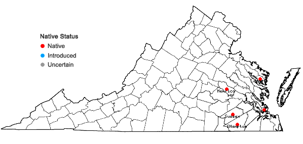 Locations ofViola imposter R.N. Burwell and H.E. Ballard in Virginia