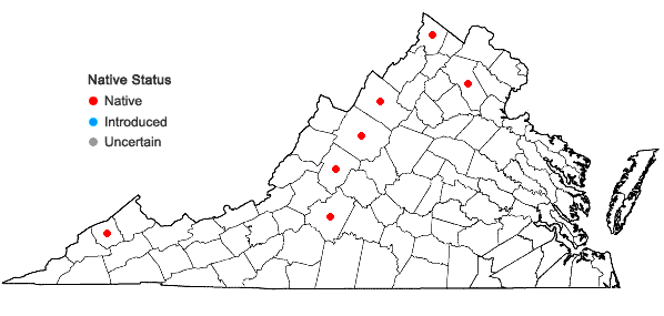 Locations ofViola incognita Brainerd in Virginia
