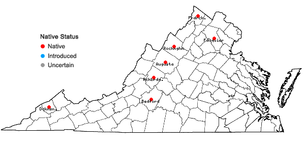 Locations ofViola incognita Brainerd in Virginia