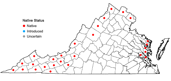 Locations ofViola labradorica Schrank in Virginia