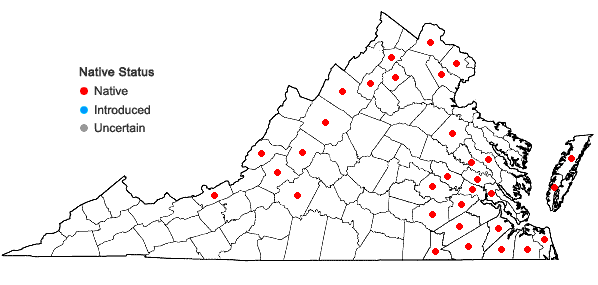 Locations ofViola lanceolata L. in Virginia