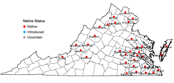 Locations ofViola lanceolata L. in Virginia