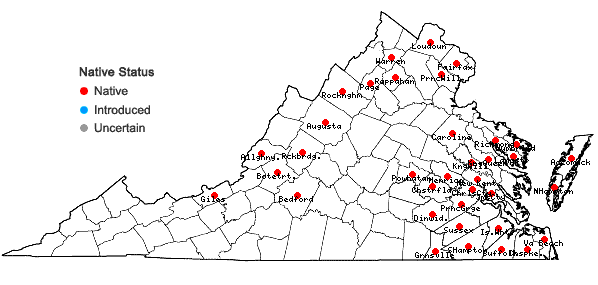 Locations ofViola lanceolata L. in Virginia