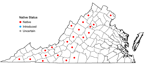 Locations ofViola minuscula Greene in Virginia