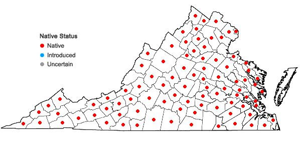 Locations ofViola palmata L. complex in Virginia