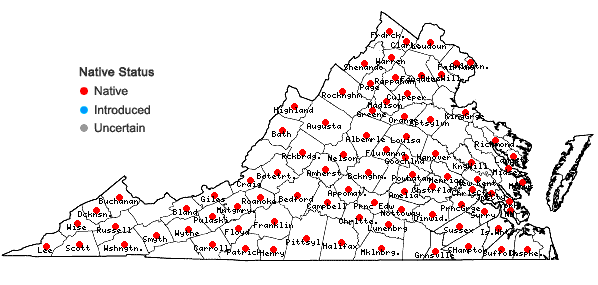 Locations ofViola palmata L. complex in Virginia