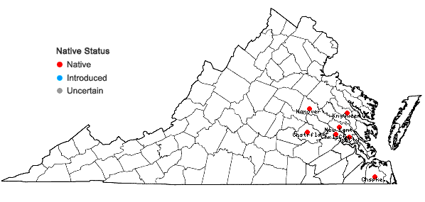 Locations ofViola palmata L. var. palmata in Virginia