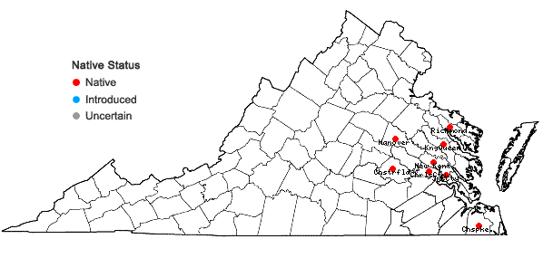 Locations ofViola palmata L. var. palmata in Virginia