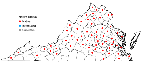 Locations ofViola palmata L. var. triloba (Schwein.) Gingins ex A. DC. in Virginia