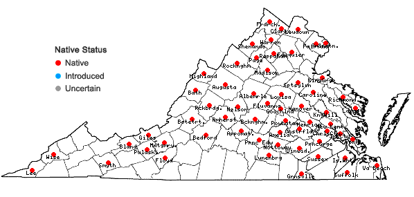 Locations ofViola palmata L. var. triloba (Schwein.) Gingins ex A. DC. in Virginia