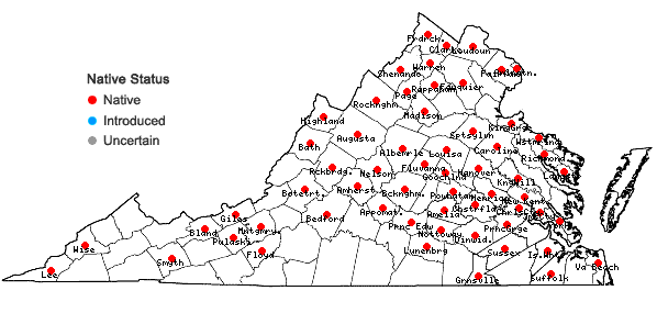 Locations ofViola palmata L. var. triloba (Schwein.) Gingins ex A. DC. in Virginia
