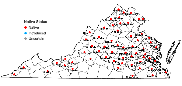 Locations ofViola palmata L. var. triloba (Schwein.) Gingins ex A. DC. in Virginia