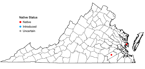 Locations ofViola pectinata E.P. Bickn. in Virginia