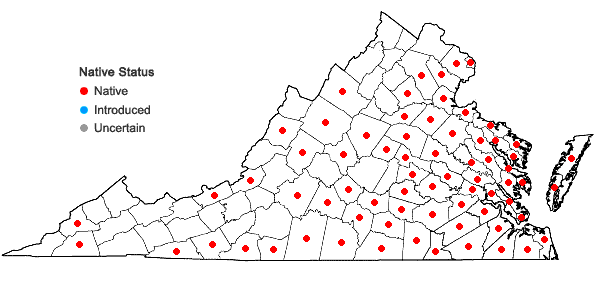 Locations ofViola primulifolia L. in Virginia