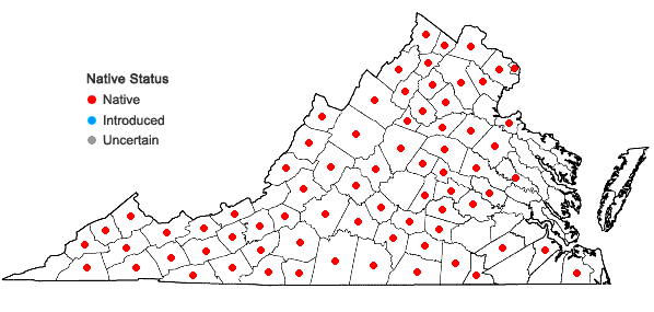 Locations ofViola pubescens / eriocarpa complex in Virginia