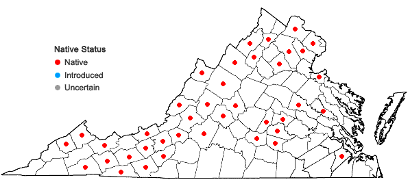 Locations ofViola pubescens Aiton in Virginia