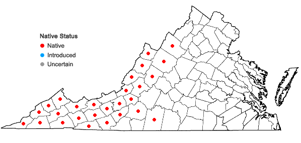 Locations ofViola rostrata Pursh in Virginia