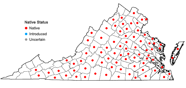 Locations ofViola sagittata Aiton in Virginia