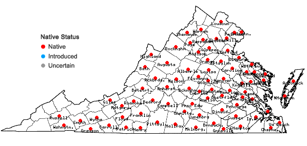 Locations ofViola sagittata Aiton in Virginia