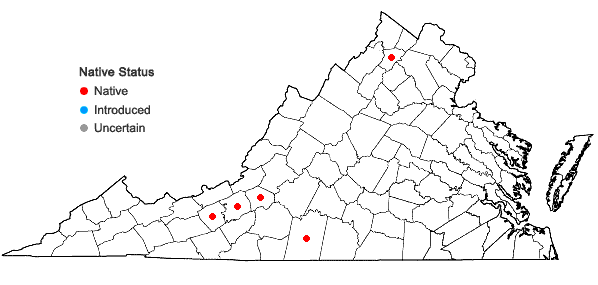 Locations ofViola septentrionalis Greene in Virginia