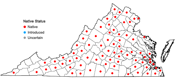 Locations ofViola sororia Willd. in Virginia