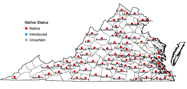 Locations ofViola sororia Willd. in Virginia