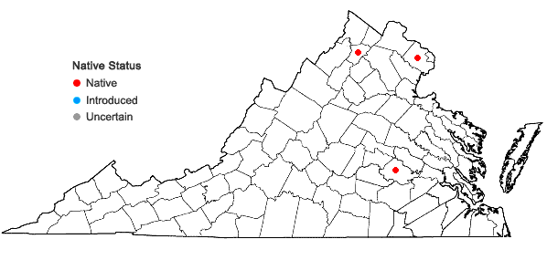 Locations ofViola stoneana House in Virginia