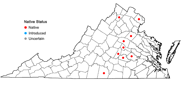 Locations ofViola stoneana House in Virginia