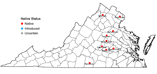 Locations ofViola stoneana House in Virginia