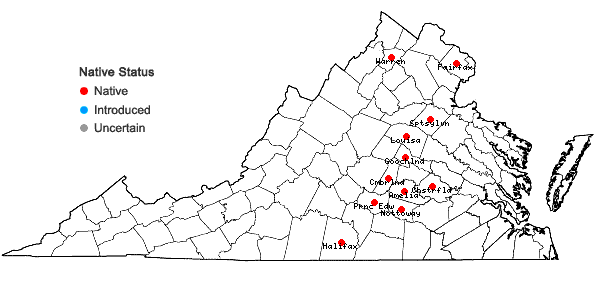 Locations ofViola stoneana House in Virginia