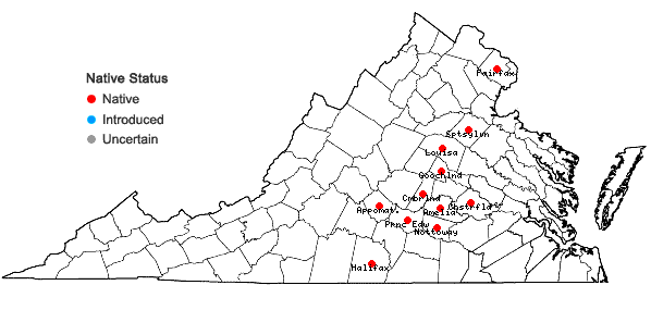 Locations ofViola stoneana House in Virginia