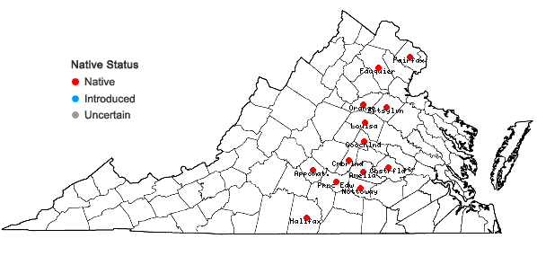 Locations ofViola stoneana House in Virginia
