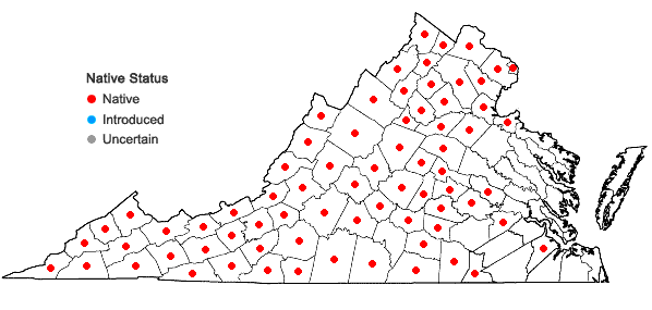 Locations ofViola striata Ait. in Virginia