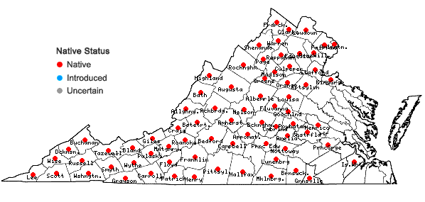 Locations ofViola striata Ait. in Virginia