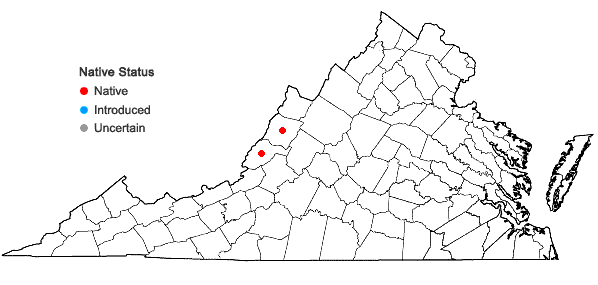 Locations ofViola tenuisecta Zumwalde & H.E.Ballard in Virginia