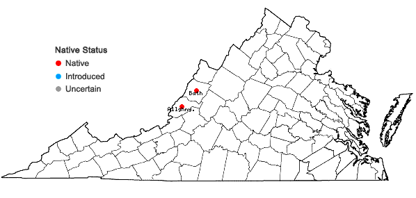 Locations ofViola tenuisecta Zumwalde & H.E.Ballard in Virginia