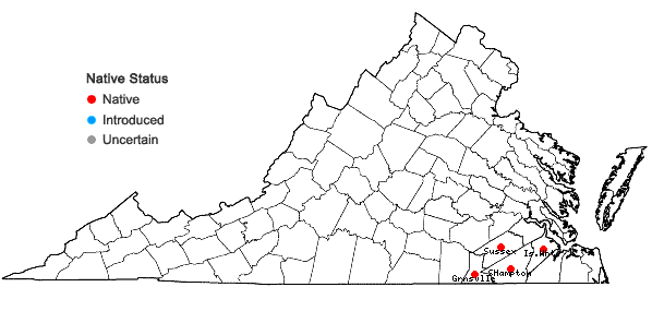 Locations ofViola vittata Greene in Virginia