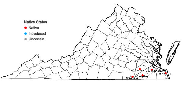 Locations ofViola vittata Greene in Virginia