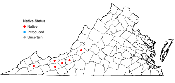 Locations ofViola walteri House in Virginia