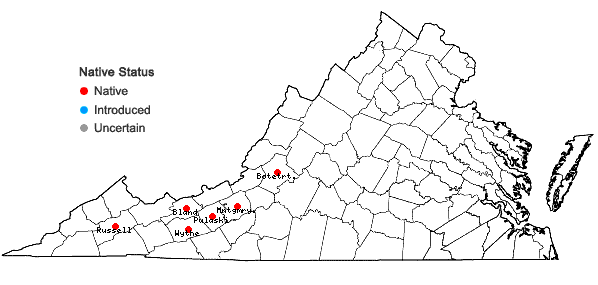 Locations ofViola walteri House in Virginia