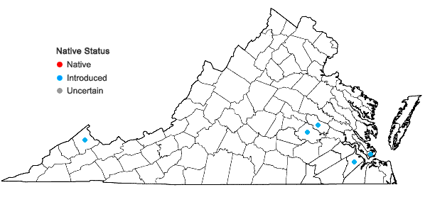 Locations ofVitex agnus-castus L. in Virginia