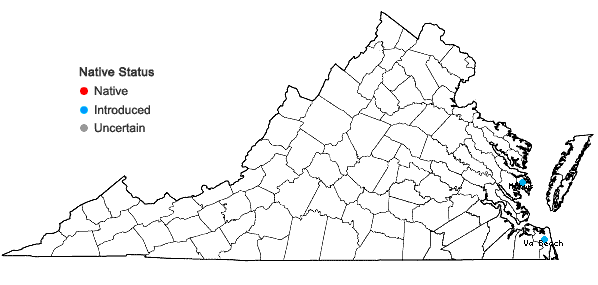 Locations ofVitex rotundifolia L.f. in Virginia