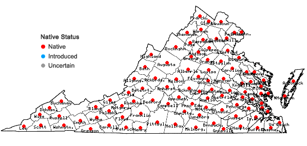 Locations ofVitis aestivalis Michx. in Virginia