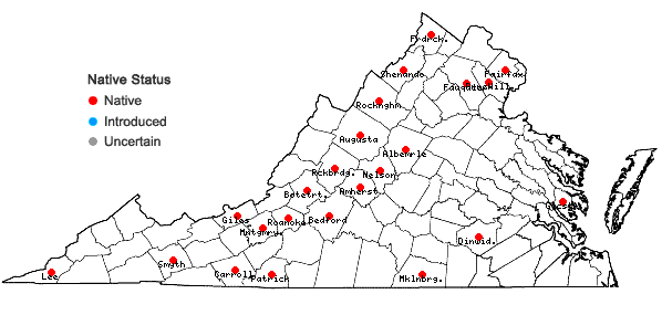 Locations ofVitis aestivalis Michx. var. bicolor Deam in Virginia