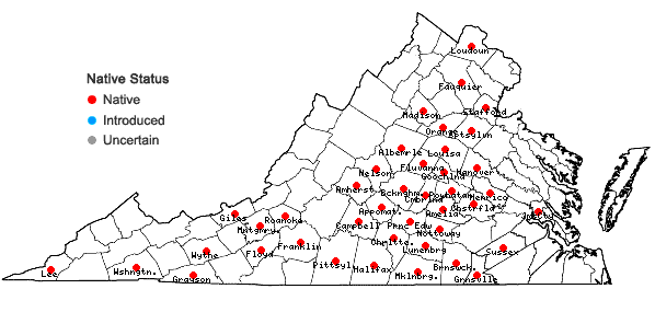 Locations ofVitis cinerea (Engelm.) Engelm. ex Millardet var. baileyana (Munson) Comeaux in Virginia