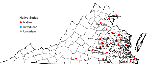 Locations ofVitis cinerea (Engelm.) Engelm. ex Millardet var. floridana Munson in Virginia