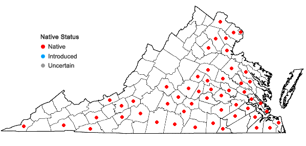 Locations ofVitis cinerea (Engelm.) Engelm. ex Millard in Virginia